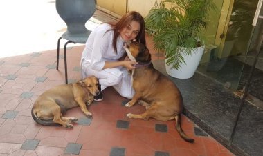 The dumb one is my life, the second home of the dumb dogs is Lucky Mishra’s house