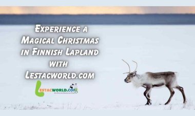 Unlocking the Charms of Finnish Winters: Lestacworld Redefines Travel to Finland from India