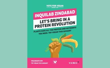 Veganuary 2024 campaign – driving global change with a plant-based challenge