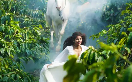 Ram Gopal Varma's discovery, Actress Aaradhya Devi starrer thriller film 'Saaree' song 'I Want Love' is Out Now